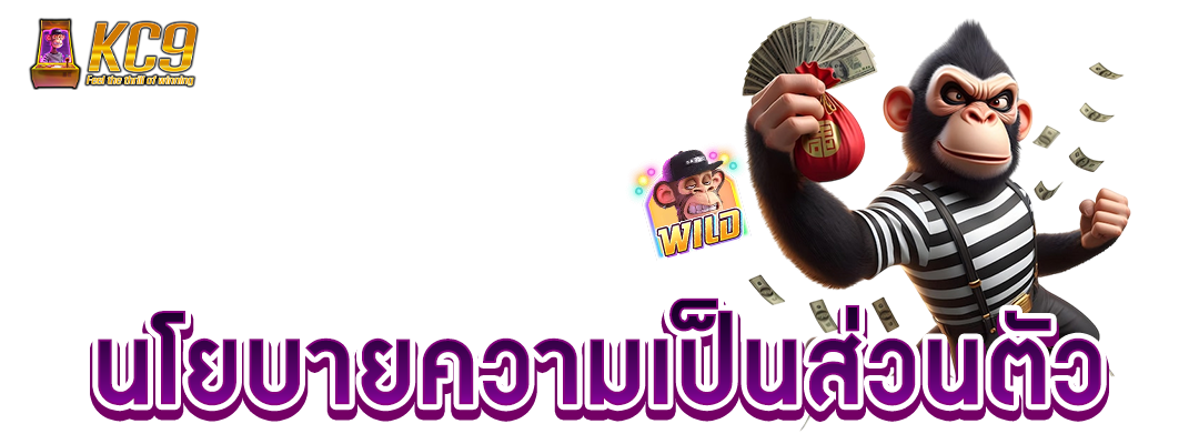 นโยบายความเป็นส่วนตัว