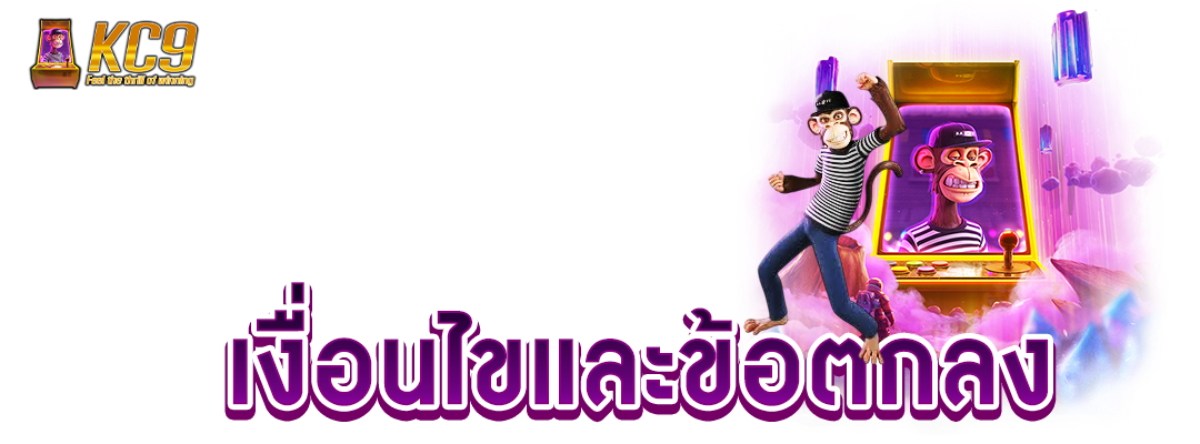 เงื่อนไขเเละข้อตกลง